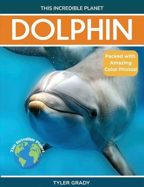 Dolphin
