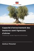 Capacité d'enracinement des boutures semi-ligneuses d'olivier