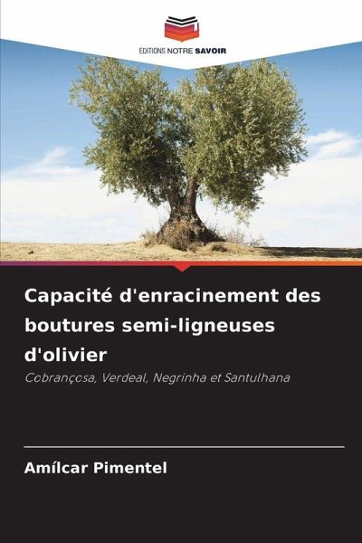 Capacité d'enracinement des boutures semi-ligneuses d'olivier