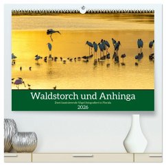 Waldstorch und Anhinga (hochwertiger Premium Wandkalender 2026 DIN A2 quer), Kunstdruck in Hochglanz
