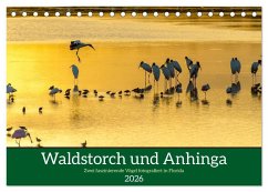 Waldstorch und Anhinga (Tischkalender 2026 DIN A5 quer), CALVENDO Monatskalender