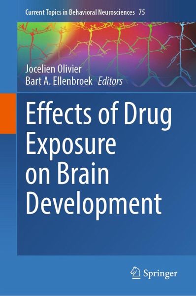 Effects of Drug Exposure on Brain Development (eBook, PDF) Effects of Drug Exposure on Brain Development (eBook, PDF)