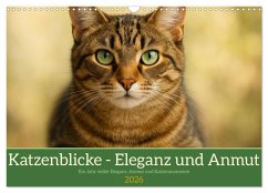 Katzenblicke - Eleganz und Anmut (Wandkalender 2026 DIN A3 quer), CALVENDO Monatskalender