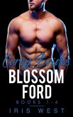 Curvy Brides Of Blossom Ford Books 1-4