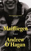 Maifliegen Maifliegen