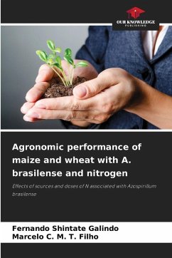 Cover Agronomic performance of maize and wheat with A. brasilense and nitrogen