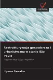 Restrukturyzacja gospodarcza i urbanistyczna w stanie São Paulo