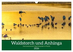 Waldstorch und Anhinga (Wandkalender 2026 DIN A3 quer), CALVENDO Monatskalender Waldstorch und Anhinga (Wandkalender 2026 DIN A3 quer), CALVENDO Monatskalender