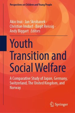 Youth Transition and Social Welfare (eBook, PDF)