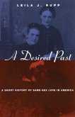 A Desired Past (eBook, ePUB)