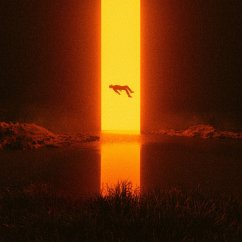 Cover Loss (Black Lp)