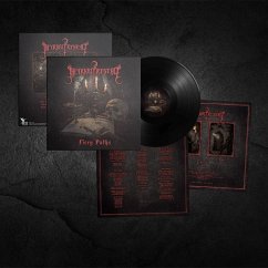 Cover Fiery Paths (Black Vinyl)