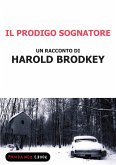 Il prodigo sognatore (eBook, ePUB)