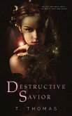 Destructive Savior: A Sweet Paranormal Romance (eBook, ePUB)