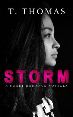 Cover Storm (eBook, ePUB)
