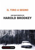 Il tiro a segno (eBook, ePUB)