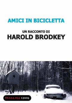 Cover Amici in bicicletta (eBook, ePUB)