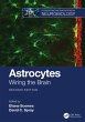 Astrocytes (eBook, ePUB) - Bild 1