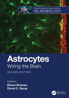 Cover Astrocytes (eBook, ePUB)
