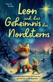 Leon und das Geheimnis des Nordsterns.
