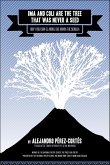 Ima and Coli Are the Tree That Was Never a Seed (eBook, ePUB)