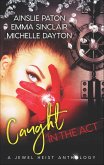 Caught in the Act (eBook, ePUB)