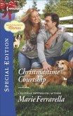 Christmastime Courtship (eBook, ePUB)