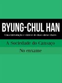 BYUNG-CHUL HAN: Uma introdução e síntese de duas obras-chave (eBook, ePUB)