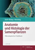 Anatomie und Histologie der Samenpflanzen Anatomie und Histologie der Samenpflanzen