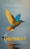 Obi¿nuit (eBook, ePUB)