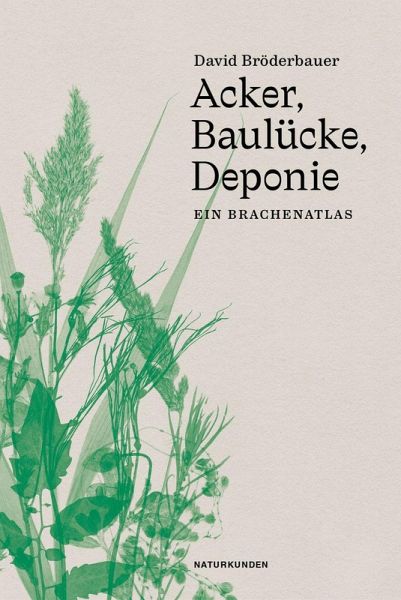 Acker, Baulücke, Deponie Acker, Baulücke, Deponie