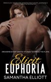 Elicit Euphoria - Arousing Short Erotic Stories to Kindle the Flame (eBook, ePUB) Elicit Euphoria - Arousing Short Erotic Stories to Kindle the Flame (eBook, ePUB)
