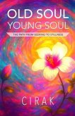 Old Soul Young Soul (eBook, ePUB)