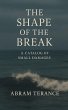 The Shape of the Break (eBook, ePUB) - Bild 1