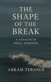The Shape of the Break (eBook, ePUB)
