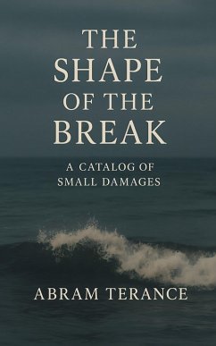 Cover The Shape of the Break (eBook, ePUB)