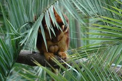 Cover We are already among us (eBook, ePUB)