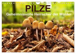 Pilze - Geheimnisvolle Herrscher der Wälder (Wandkalender 2026 DIN A4 quer), CALVENDO Monatskalender