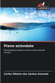 Piano aziendale