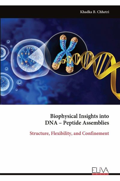 Biophysical Insights into DNA - Peptide Assemblies Biophysical Insights into DNA - Peptide Assemblies