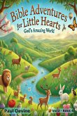 Bible Adventures for Little Hearts (Vol 2)