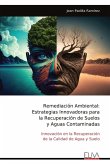 Remediación Ambiental