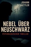 Nebel über Neuschwarz