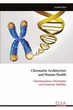 Cover Chromatin Architecture and Human Health