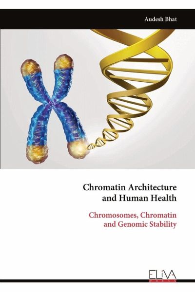 Chromatin Architecture and Human Health Chromatin Architecture and Human Health