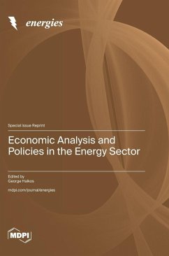 Economic Analysis and Policies in the Energy Sector