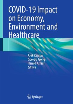 COVID-19 Impact on Economy, Environment and Healthcare (eBook, PDF)