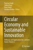 Circular Economy and Sustainable Innovation (eBook, PDF)