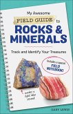 My Awesome Field Guide to Rocks & Minerals (eBook, ePUB)