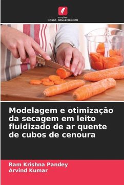 Cover Modelagem e otimização da secagem em leito fluidizado de ar quente de cubos de cenoura